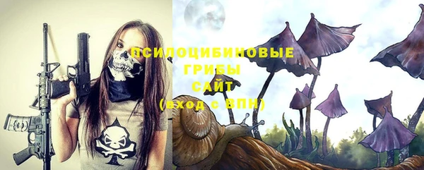 MDMA Premium VHQ Вяземский