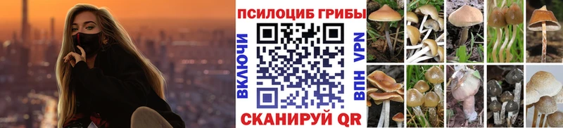 Псилоцибиновые грибы мицелий  как найти   Симферополь 
